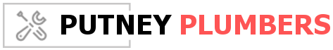 Plumbing in Putney logo